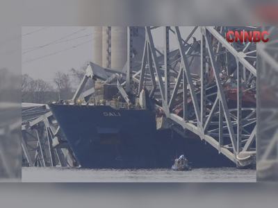 Economic Impact of Baltimore Bridge Collapse Explained