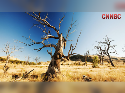 Australia Faces Decades-Long Megadroughts: Study Warns of Extended Droughts Amid Climate Change