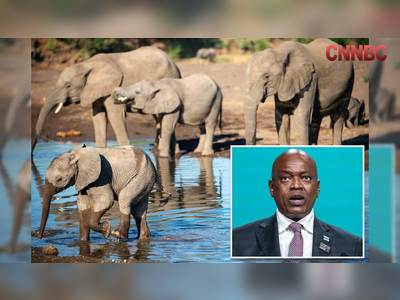 Botswana Threatens to Export 20,000 Elephants to Germany: Conservation Dispute